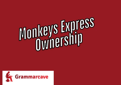 Monkies or Monkeys