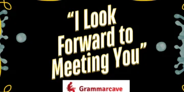 I Look Forward to Meeting You