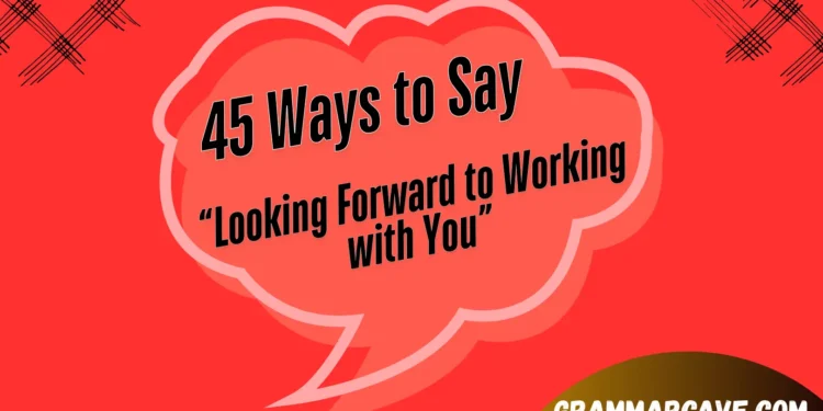 Looking Forward to Working with You